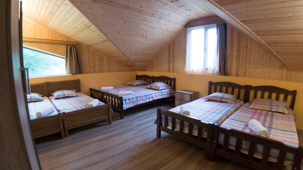 Hotel Eco House In באקוריאני מראה חיצוני תמונה