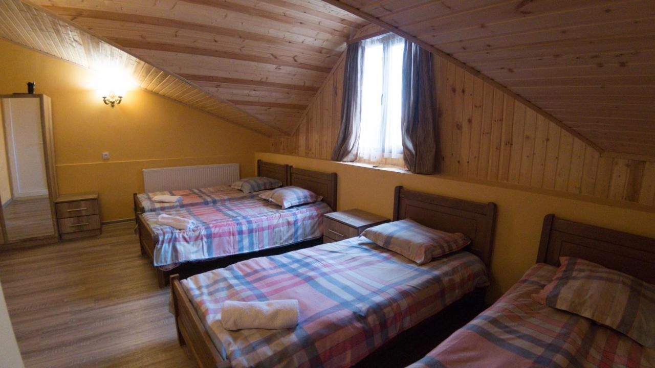 Hotel Eco House In באקוריאני מראה חיצוני תמונה