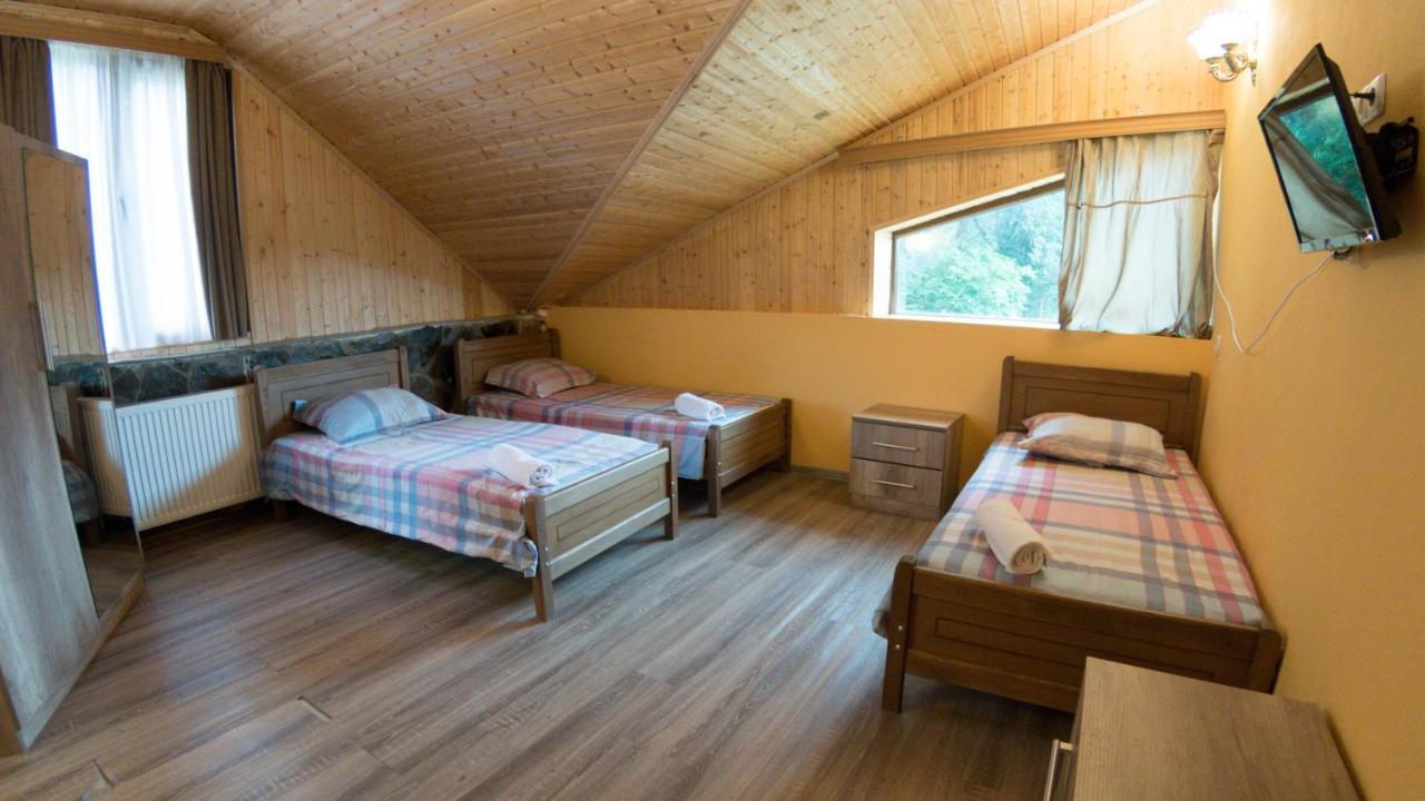 Hotel Eco House In באקוריאני מראה חיצוני תמונה