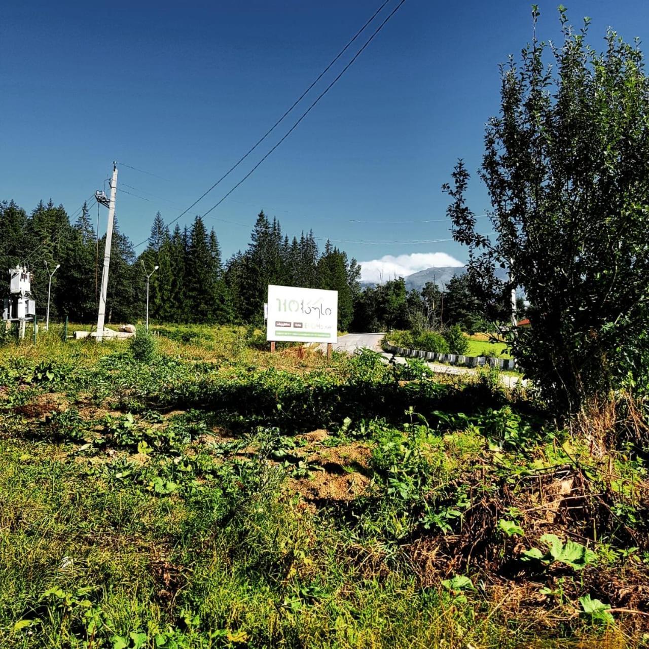 Hotel Eco House In באקוריאני מראה חיצוני תמונה