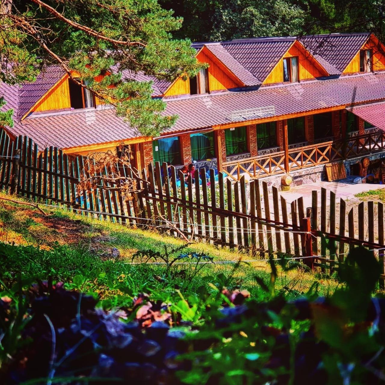 Hotel Eco House In באקוריאני מראה חיצוני תמונה
