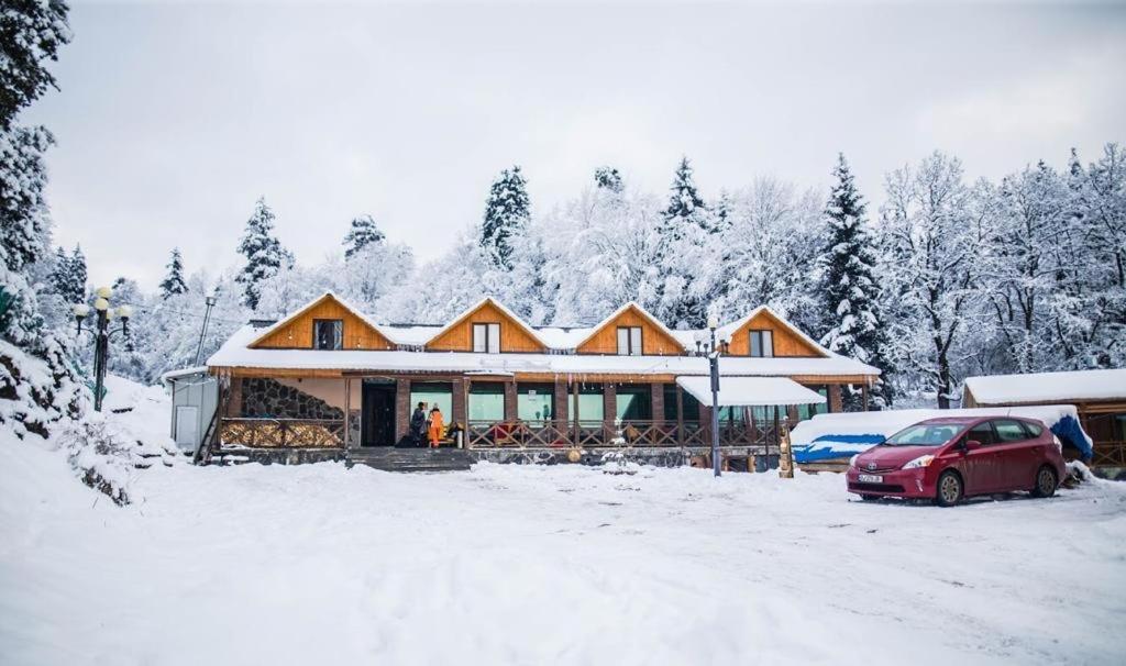 Hotel Eco House In באקוריאני מראה חיצוני תמונה
